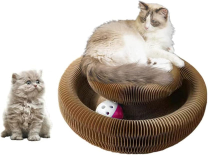 Enkman Kitty Kurlz Magic Organ Cat Scratcher Board Cat Ball Adventure the Ultimate Interactive Mental Physical Exercise for Indoor Cats Toy1