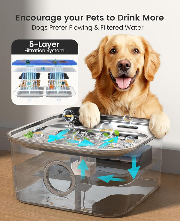 Oneisall 10L/2.6Gal Dog Water Fountain for Large Dogs (With 1 Filter) | Deeper & Wider Drinking Area, Visualization Window & Triple Filtration,304 Stainless Steel Dog Water Bowl Dispenser3