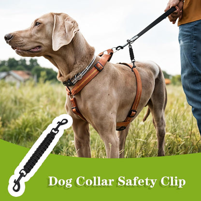 Yuanchu Safety Clip for Dog Collar, Double Ended Dog Collar Safety Clip | Backup Safety Strap with Dual Clasps, Leash Connector for Prong Collar, Harness Vests Walking Running Training3