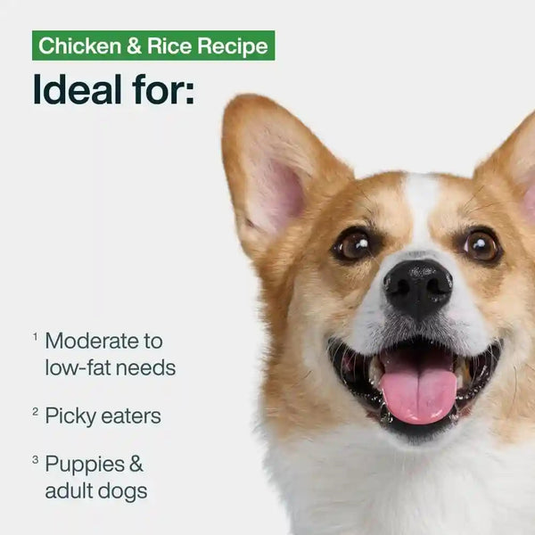 Justfoodfordogs Pantry Fresh Wet Dog Food, Complete Meal or Topper, Chicken & White Rice Human Grade Recipe - 12.5 Oz (Pack of 6)3