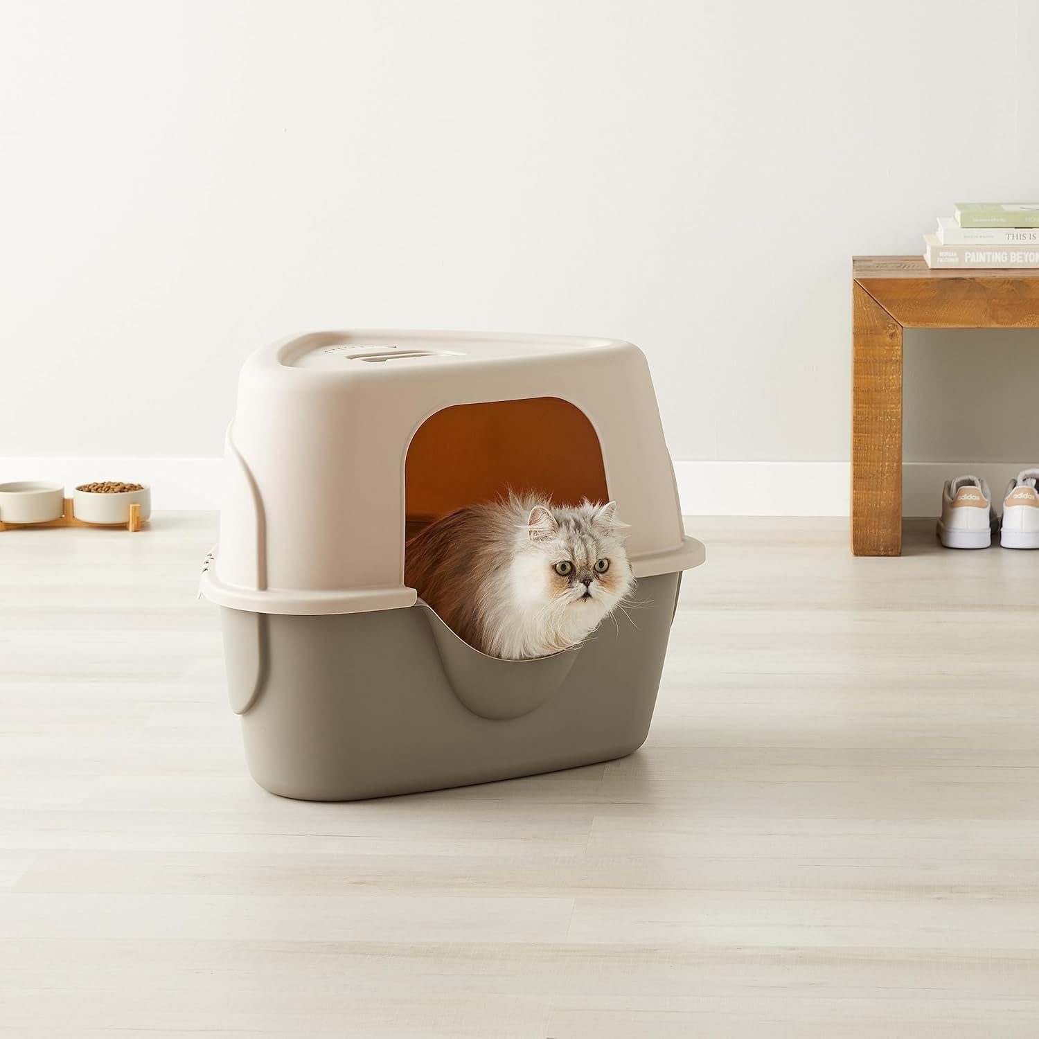 amazon-basics-cat-litter-box-with-lid-no-mess-spacious-enclosed-design-with-odor-control-easy-access-stain-resistant-26-x-23-x-20-charcoal