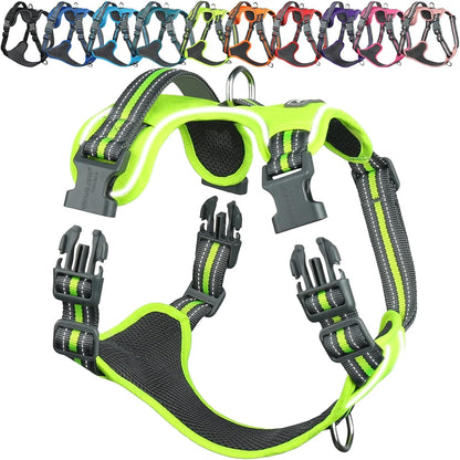 VIVAGLORY No Pull Dog Harness Vest Harness, L, Orange - Patterned | with Handle Front and Back Clip for Training & Pulling, No Pull & Escape Proof Padded Adjustable for Pet Puppy26
