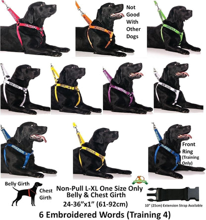 Dexil Limited Adopt ME (I Need a New Home) Yellow Color Coded Non-Pull Front and Back D Ring Padded and Waterproof Vest Dog Harness Prevents Accidents by Warning Others of Your Dog in Advance (S)7