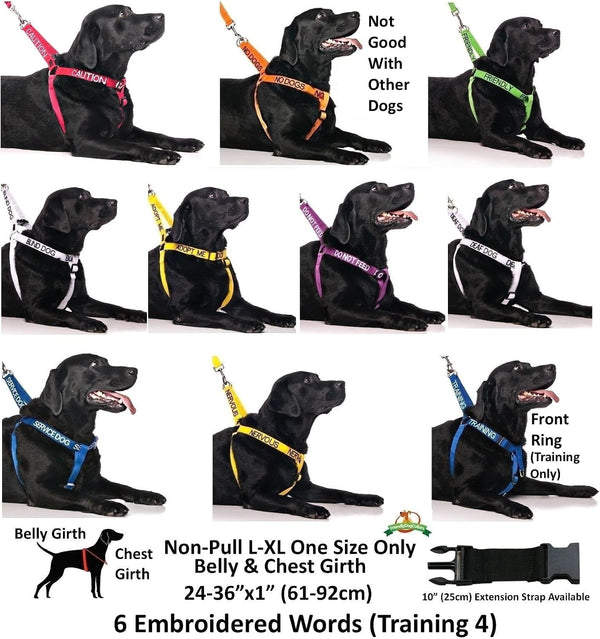 Dexil Limited Adopt ME (I Need a New Home) Yellow Color Coded Non-Pull Front and Back D Ring Padded and Waterproof Vest Dog Harness Prevents Accidents by Warning Others of Your Dog in Advance (S)7