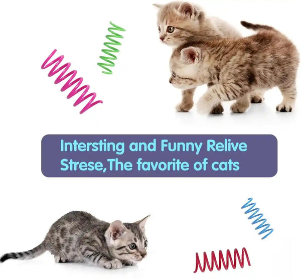 12PCS 12Colors Cat Spring Toys for Indoor Cats | Interactive Coil Springs for Self Play, Heavy Plastic Cat Spiral Spring, Hunting, Biting, Swatting Creative Kitten Toy.6