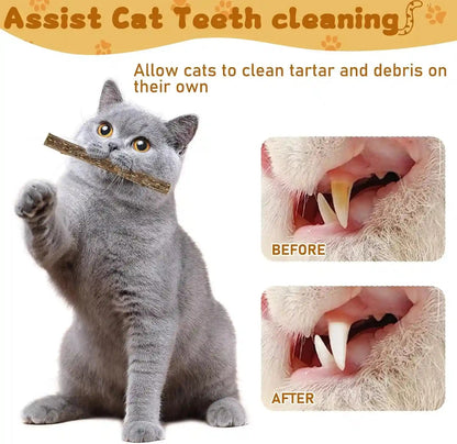 Wolover Silvervine Sticks for Cats, Natural Catnip Matatabi Chew Sticks Teeth Molar Chew Toys for Cat Kitten Kitty (At Least 12 PCS)5