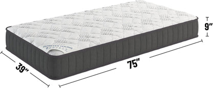 9" Hybrid Twin Mattress - Firm - Made in USA - Individually Pocketed Coils & Certipur-Us Foam - Fiberglass-Free - Bed in a Box2