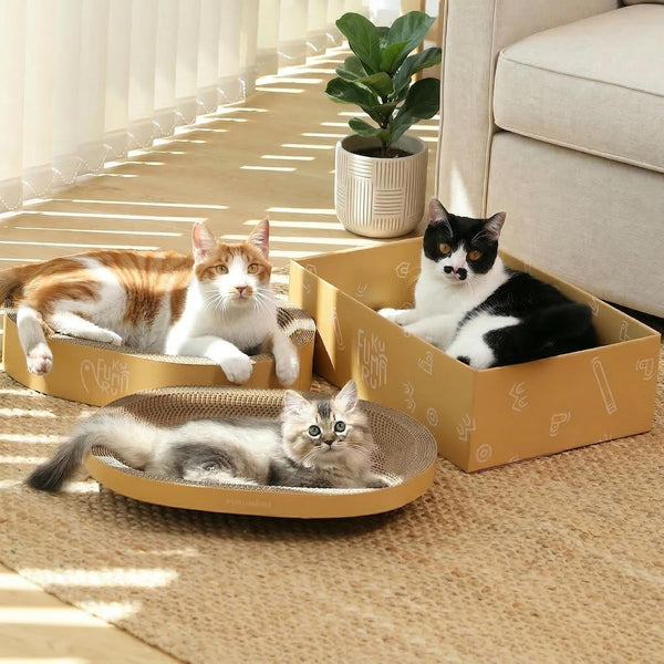 FUKUMARU 3PCS Cardboard Cat Scratcher Bed, Durable Oval Cat Scratch Pads | round Cats Scratching Board Set, Large Scratcher Box for Indoor Cats, Kitten Scratcher Bowl, Couch Sofa Furniture Protector1