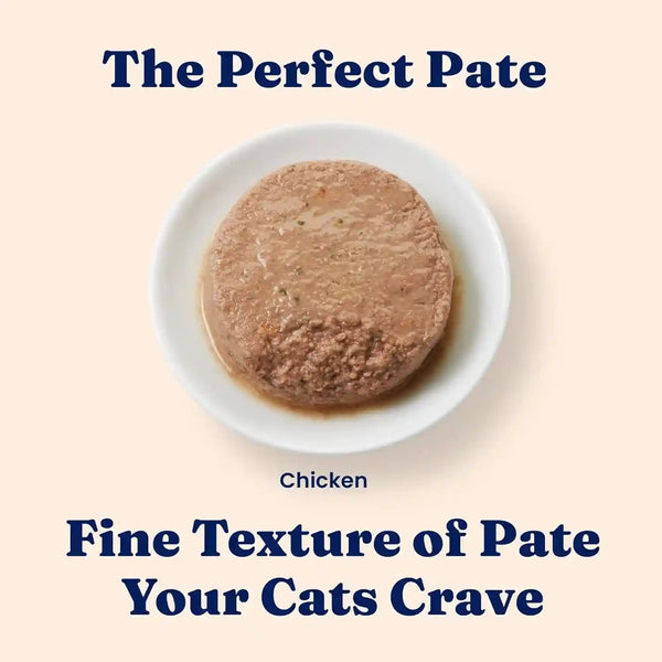 Solid Gold Wet Cat Food Pate for Indoor Cats - Healthy Canned Cat Food Pate W/Real Chicken, Omega Fatty Acids, Vitamins & Minerals - Grain Free & Gluten Free Can Meals for Cats & Kittens - 24Ct/3Oz5
