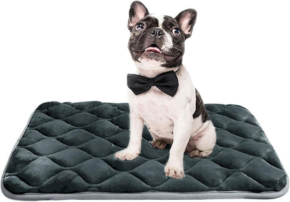 Furrybaby Dog Bed Mat Flat Crate Mat with Anti-Slip Bottom Machine Washable Pet Kennel Pad for Dog Sleeping (XS 22X13'', Grey Mat)10