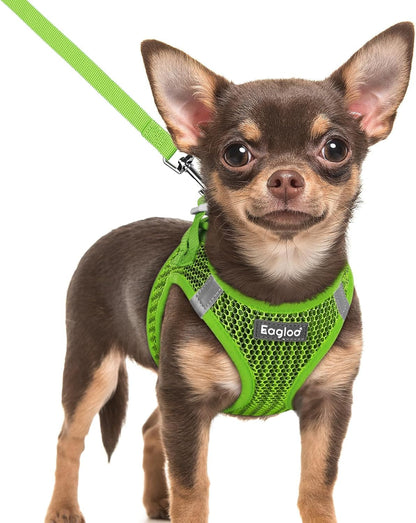 Eagloo Small Dog Harness and Leash Set, Step in Small Sized Puppy Pet Vest | Light, Soft, Breathable Air Mesh, Easy on and off with Hook & Loop, Reflective for Safe Walking, Pink, S48