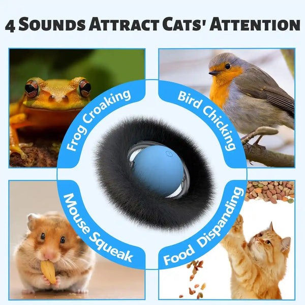 ORSDA Cat Toys, Interactive Fast Rolling Ball in Pouch, Hide and Seek for Indoor Cats, Motion Chirping Activated Moving Ball, 7 Holes Mat Mouse Catching Game7