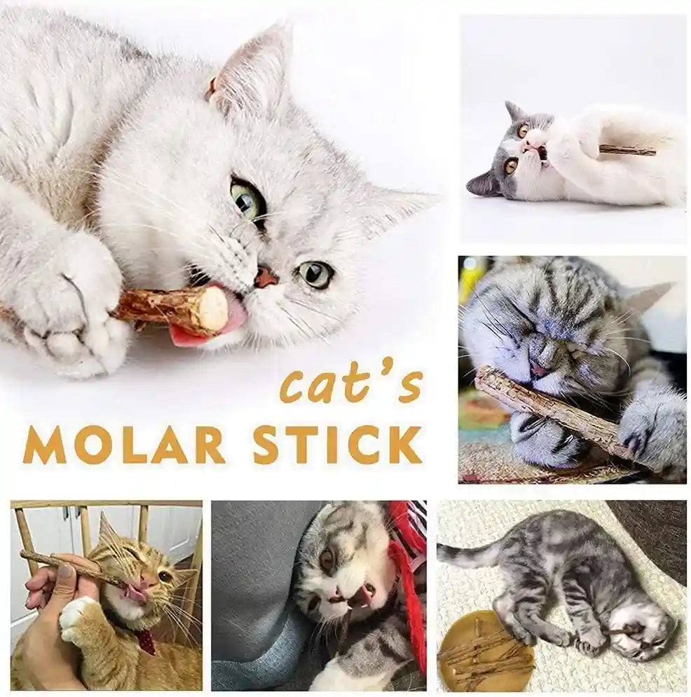 ailuki-35pcs-cat-toys-variety-pack-for-indoor-cats-kitten-toys-set-with-collapsible-cat-tunnel-feather-wand-plush-mice-crinkle-balls-interactive-cat-toys-bundle-storage-bag