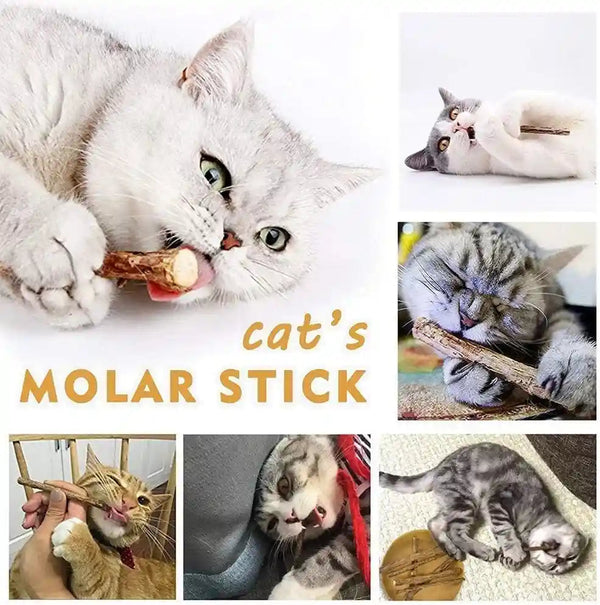 AILUKI 35PCS Cat Toys Variety Pack for Indoor Cats, Kitten Toys Set with Collapsible Cat Tunnel, Feather Wand, Plush Mice, Crinkle Balls & Interactive Cat Toys Bundle Storage Bag7