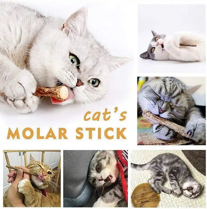 AILUKI 35PCS Cat Toys Variety Pack for Indoor Cats, Kitten Toys Set with Collapsible Cat Tunnel, Feather Wand, Plush Mice, Crinkle Balls & Interactive Cat Toys Bundle Storage Bag7