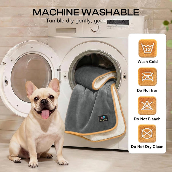 Luciphia Waterproof Pet Blanket, Washable Reversible Sherpa Fleece Throw | Liquid-Proof Furniture Protector for Bed and Couch, Soft Reversible Sherpa Fleece for Dogs, Cats Grey, XS6