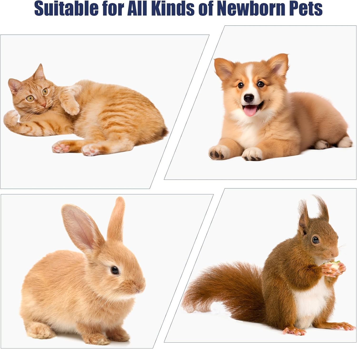 reddoudou-newborn-puppy-kitten-small-animal-sterile-mucus-extractor-suction-catheter-animal-kid-puppy-kitten-tube-feeding-kit-8-fr-red-feeding-tubes-with-20ml-syringes-and-bulb-aspirator