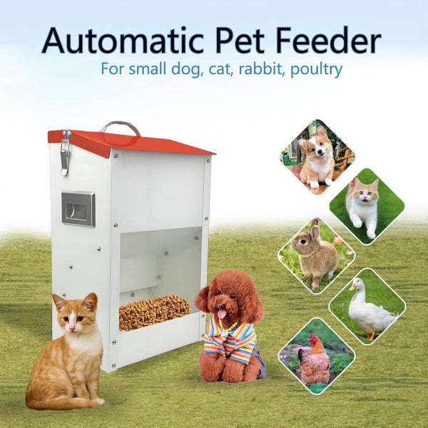 Gravity Automatic Cat Feeder Galvanized Small Animal Feeding Trough Food Dispenser for Cats Puppy 13L Outdoor Pets Feeder6