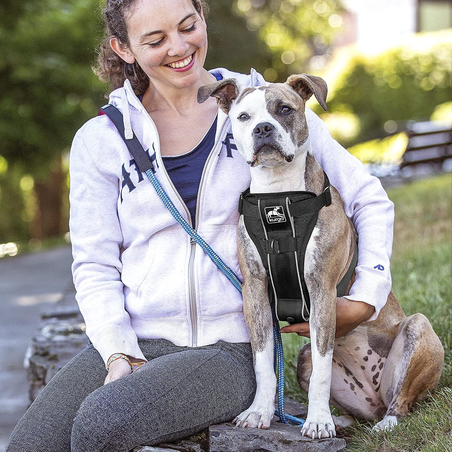 kurgo-tru-fit-smart-harness-black-small-dog-walking-harness-with-quick-release-buckles-front-back-leash-attachments-reflective-trim-includes-seatbelt-tether