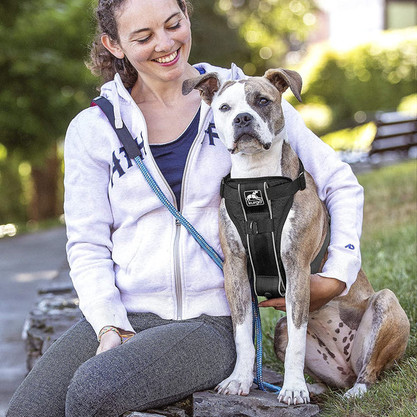 Kurgo Tru-Fit Smart Harness, Black, Small | Dog Walking Harness with Quick Release Buckles, Front & Back Leash Attachments, Reflective Trim, Includes Seatbelt Tether3