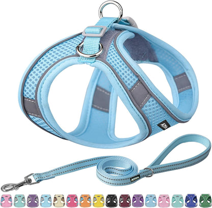 AIITLE No Pull Dog Harness and Leash Set, Step in Adjustable Dog Harness with Padded Vest for All Weather, Dog Leash with Soft Padded Handle, Easy to Put on Small and Medium Dogs Beige S24