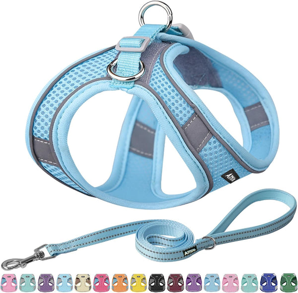 AIITLE No Pull Dog Harness and Leash Set, Step in Adjustable Dog Harness with Padded Vest for All Weather, Dog Leash with Soft Padded Handle, Easy to Put on Small and Medium Dogs Beige S24