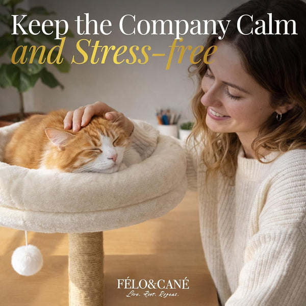 FÉLO&CANÉ Desk Cat Bed with Scratching Post & Toy Ball – Space-Saving Clamp-On Cat Hammock for Desk, Elevated Cat Perch for Work-From-Home, Sturdy Metal Frame, Soft Plush Cushion (Up to 11 Lbs)5