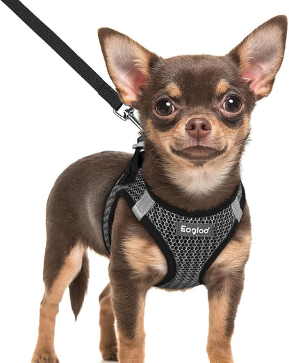 Eagloo Small Dog Harness and Leash Set, Step in Small Sized Puppy Pet Vest | Light, Soft, Breathable Air Mesh, Easy on and off with Hook & Loop, Reflective for Safe Walking, Pink, S16