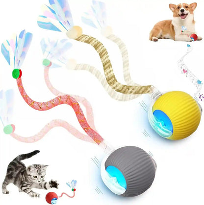 2 Packs Speed 2.0 Tail Interactive Cat Toys for Indoor Cats, Chirping & Motion Activate Cat Toy, Smart Kitten Rolling Ball Moving Ball Toys, Rechargeable Dog Cats Bal L for Enrichment Exercise20