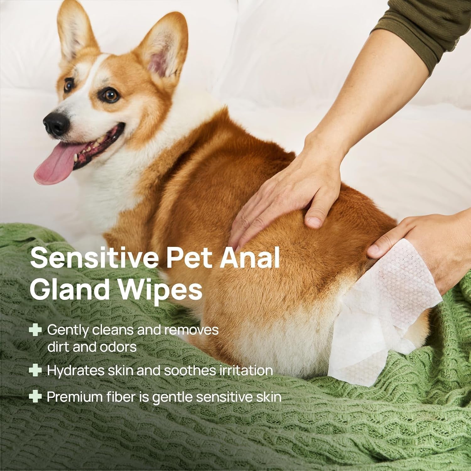 hicc-pet-rear-end-external-anal-area-cleaning-deodorizing-wipes-hydrating-nourish-fur-dogs-cats-grooming-wipes-for-daily-cleaning