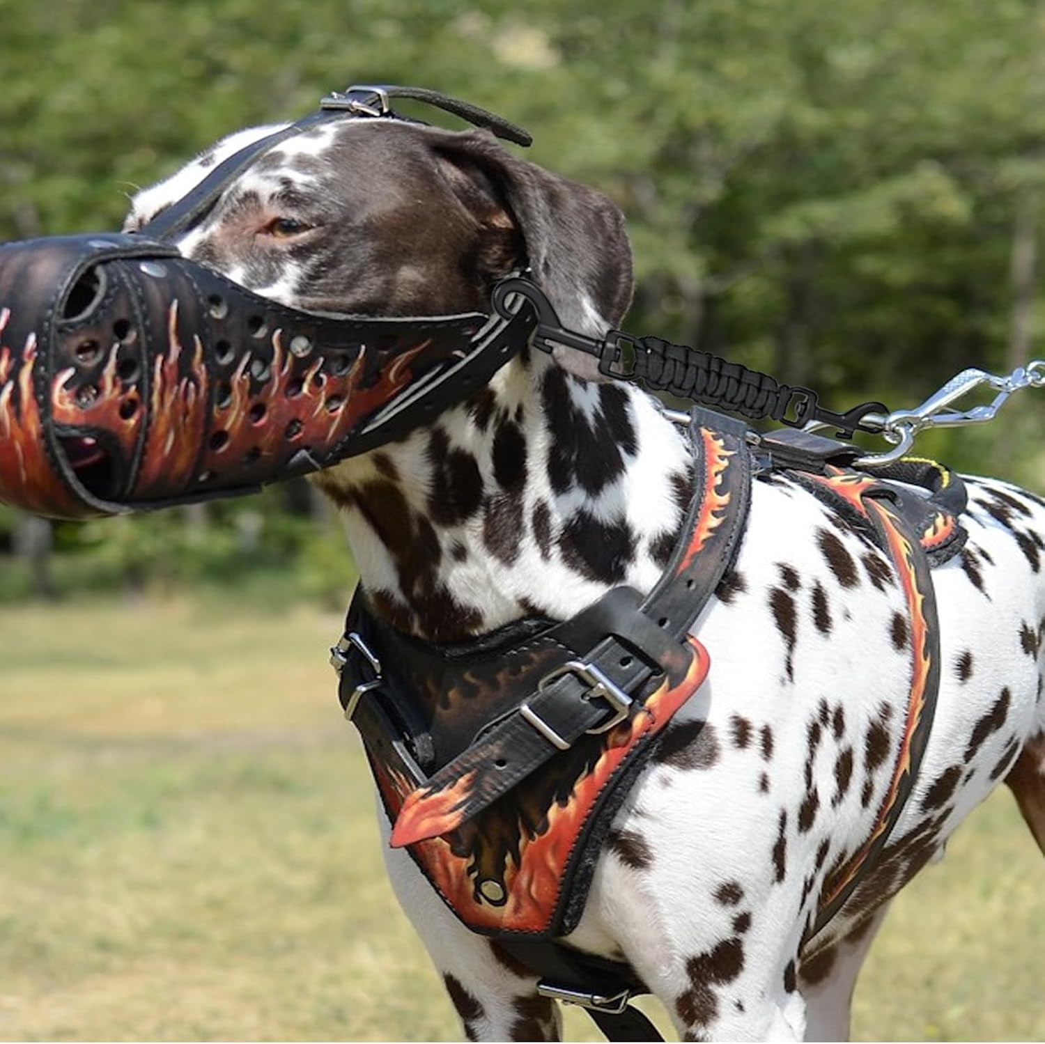 yuanchu-safety-clip-for-dog-collar-double-ended-dog-collar-safety-clip-backup-safety-strap-with-dual-clasps-leash-connector-for-prong-collar-harness-vests-walking-running-training
