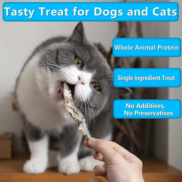 Minnows Dog Treats, Single Ingredient Dried Minnows for Dogs & Cats, Air Dried, Grain-Free, High-Protein, 100% Natural Premium Cat & Dog Treats 4.5 Oz3