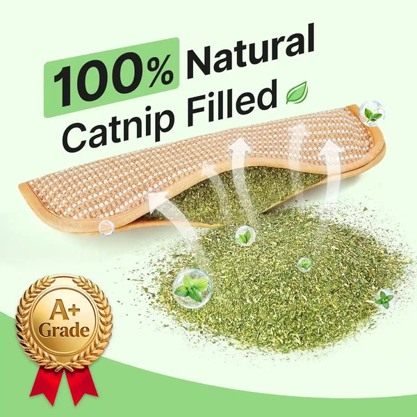Potaroma Cat Toys Pack of 2 with 6000Mg A+ Organic Catnip, Sisal Material | Indoor Kitten Scratching and Kicker Toys, Drives Bored Cats Crazy with Fun Interactive Chew2