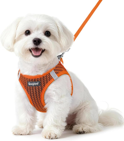 Eagloo Small Dog Harness and Leash Set, Step in Small Sized Puppy Pet Vest | Light, Soft, Breathable Air Mesh, Easy on and off with Hook & Loop, Reflective for Safe Walking, Pink, S55