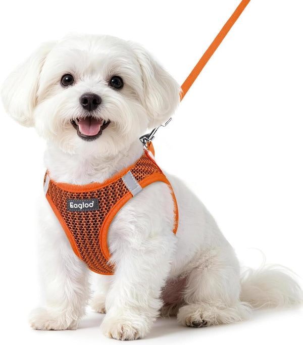 Eagloo Small Dog Harness and Leash Set, Step in Small Sized Puppy Pet Vest | Light, Soft, Breathable Air Mesh, Easy on and off with Hook & Loop, Reflective for Safe Walking, Pink, S55