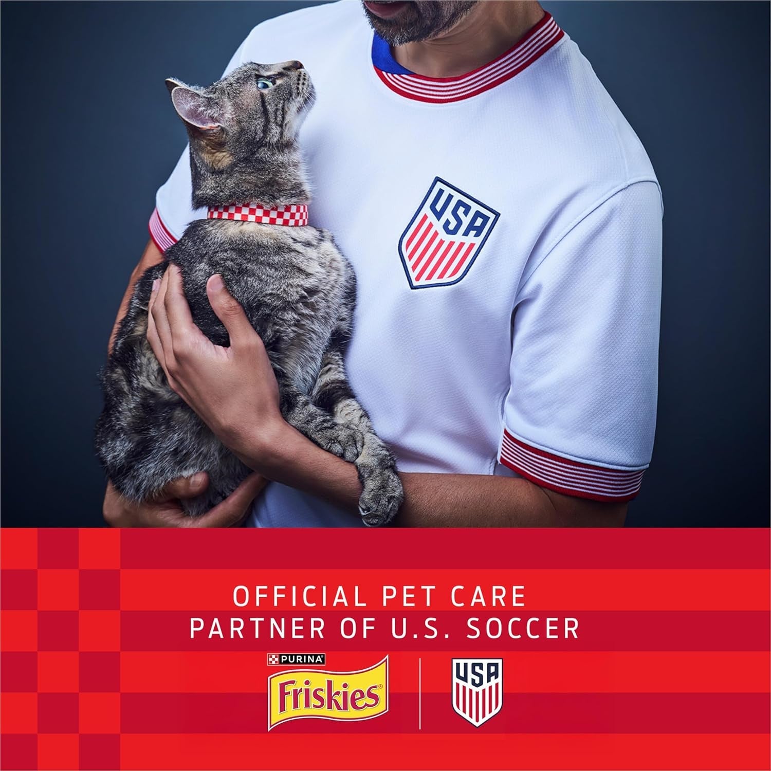 purina-friskies-gravy-wet-cat-food-variety-pack-shreds-with-beef-with-chicken-and-turkey-and-cheese-dinner-pack-of-24-5-5-oz-cans