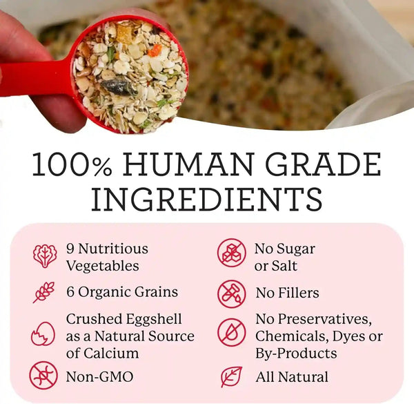 Dr. Harvey'S Canine Health Miracle Dog Food, Human Grade Dehydrated Base Mix for Dogs with 9 Vegetables and 6 Organic Whole Grains (10 Pounds) | Human Grade, Mix with 9 Vegetables & 6 Organic Whole Grains3