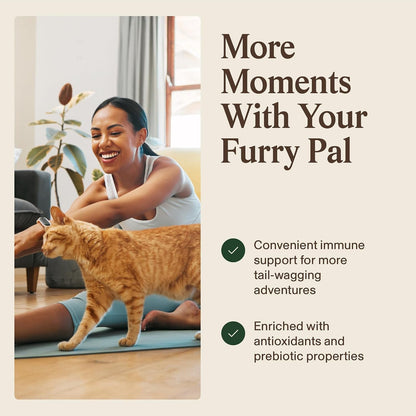 Real Mushrooms Turkey Tail Capsules for Pets –Cat Probiotics & Dog Vitamins – Organic Mushroom Supplement for Dogs & Cats – Supports Daily Balance & Well-Being Non-Gmo, 90 Ct | Daily Balance and Well-Being Support, Organic Turkey Tail Extract, Non-Gmo, Pet Mushroom Supplement, for Dogs and Cats5