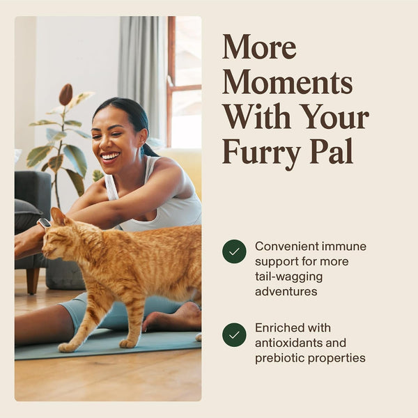 Real Mushrooms Turkey Tail Capsules for Pets –Cat Probiotics & Dog Vitamins – Organic Mushroom Supplement for Dogs & Cats – Supports Daily Balance & Well-Being Non-Gmo, 90 Ct | Daily Balance and Well-Being Support, Organic Turkey Tail Extract, Non-Gmo, Pet Mushroom Supplement, for Dogs and Cats5