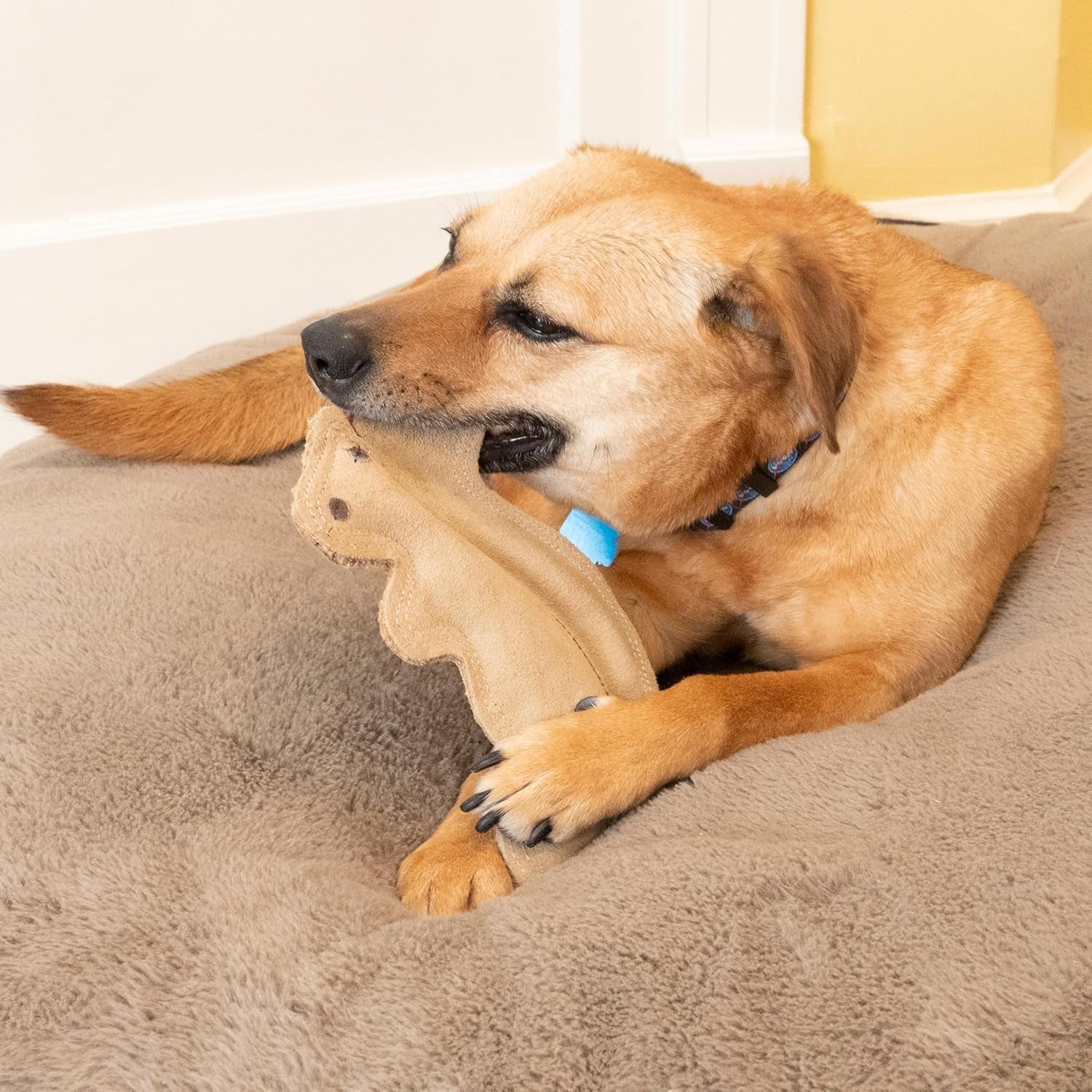 spot-dura-fused-leather-squirrel-dog-toy-real-leather-jute-fabric-double-stitched-durable-soft-stuffed-squeaky-interactive-chew-toy-for-moderate-chewers-small-medium-dogs-8in