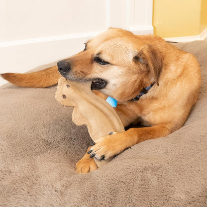 SPOT Dura-Fused Leather Squirrel Dog Toy – Real Leather & Jute Fabric, Double-Stitched & Durable, Soft Stuffed Squeaky Interactive Chew Toy for Moderate Chewers, Small & Medium Dogs, 8In7