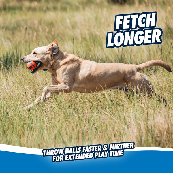 Chuckit! Ultra Tug Dog Toy, Medium Fetch and Dog Ball Tug Toy for Dogs 20-60 Pounds5