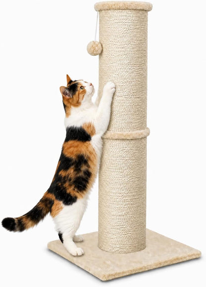 PAWSCRAT 32-Inch Tall Cat Scratching Post, 5.5-Inch Diameter, Sisal, Beige | Natural Sisal Scratching Surface with a Dangling Ball for Indoor Cats, Scratch-Resistant Durable and Protect Your Furniture1
