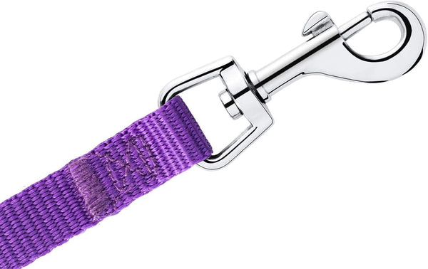 AMAGOOD 6 FT Puppy/Leash, Strong Traditional Style with Easy to Use Collar Hook, Great for Small, Medium and Large Dogs (5/8In X 6 Ft, Purple)5