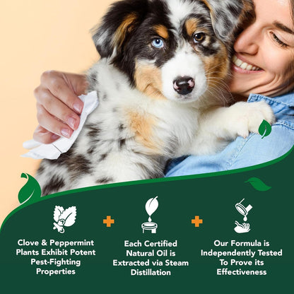 Vet'S Best Flea & Tick Wipes for Dogs, Plant-Based, Pest Control, 50 Count | Plant-Based Flea & Tick Wipes, Essential Oils, Helps Control Fleas & Ticks, for Dogs, Kennels & Home Use4