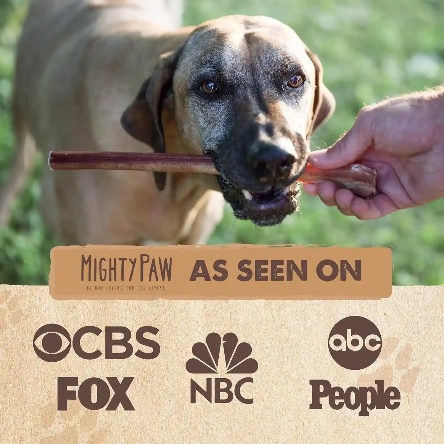 mighty-paw-12-bully-sticks-for-dogs-large-medium-and-small-breeds-chew-single-ingredient-grass-fed-lower-odor-5-pack-high-protein-boredom-buster-all-natural-sticks