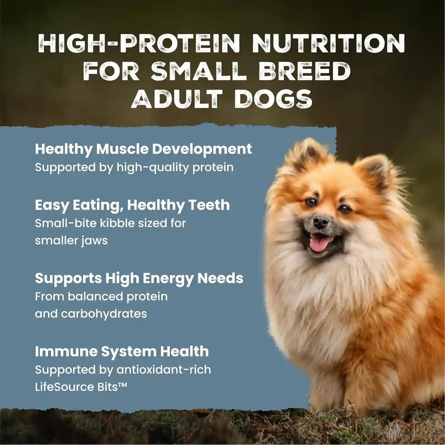 blue-buffalo-wilderness-chicken-small-breed-adult-dry-dog-food-with-wholesome-grains-antioxidant-rich-fruits-veggies-41g-protein-supports-high-energy-needs-natural-ingredients-4-5-lbs
