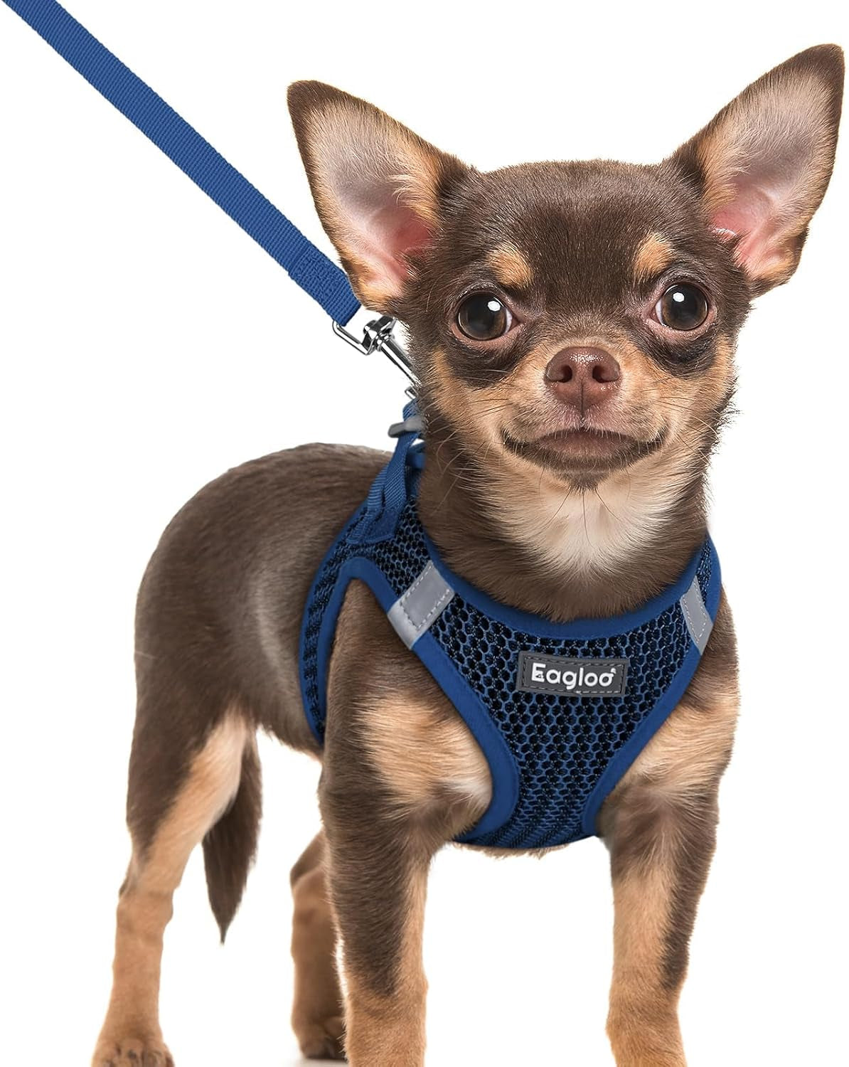 eagloo-small-dog-harness-and-leash-set-step-in-small-sized-puppy-pet-vest-light-soft-breathable-air-mesh-easy-on-and-off-with-hook-loop-reflective-for-safe-walking-pink-s