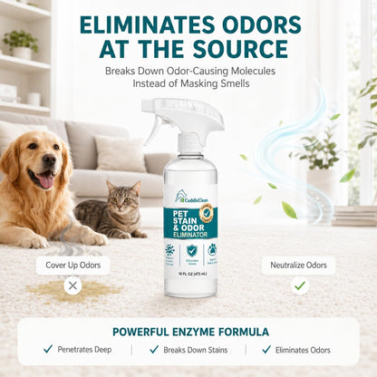 Pet Stain & Odor Remover for Dogs & Cats, Bio-Enzyme Cleaner 32Oz | for Urine, Vomit & Accidents, Eliminates Tough Odors at the Source, Safe for Carpet, Furniture, Floors & Pet Beds3