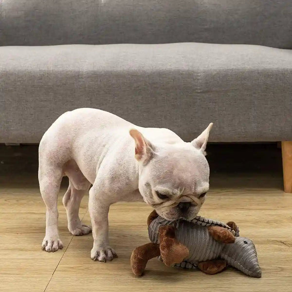 Hollypet Plush Dog Squeaky Toy Stuffed Armadillo Animal Pet Puppy Chew Toys with Clean Teeth for Small Medium Large All Breed Sizes Dogs, Gray, 8 In7